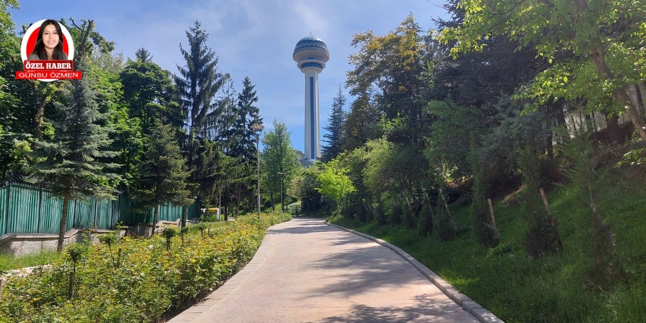 Botanik Parkı'nın güzelliği bakımsızlıkla gölge altında kalıyor