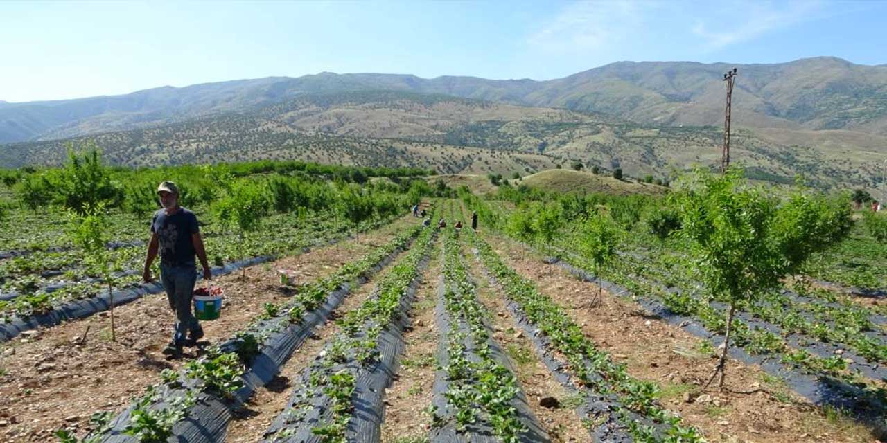 Öyle bir ürün üretti ki sipariş yetiştiremiyor!