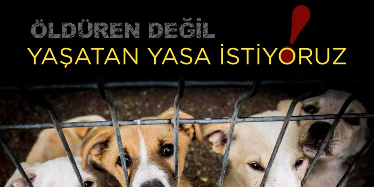 Mamak Belediyesinden 'öldüren değil yaşatan yasalar' çağrısı