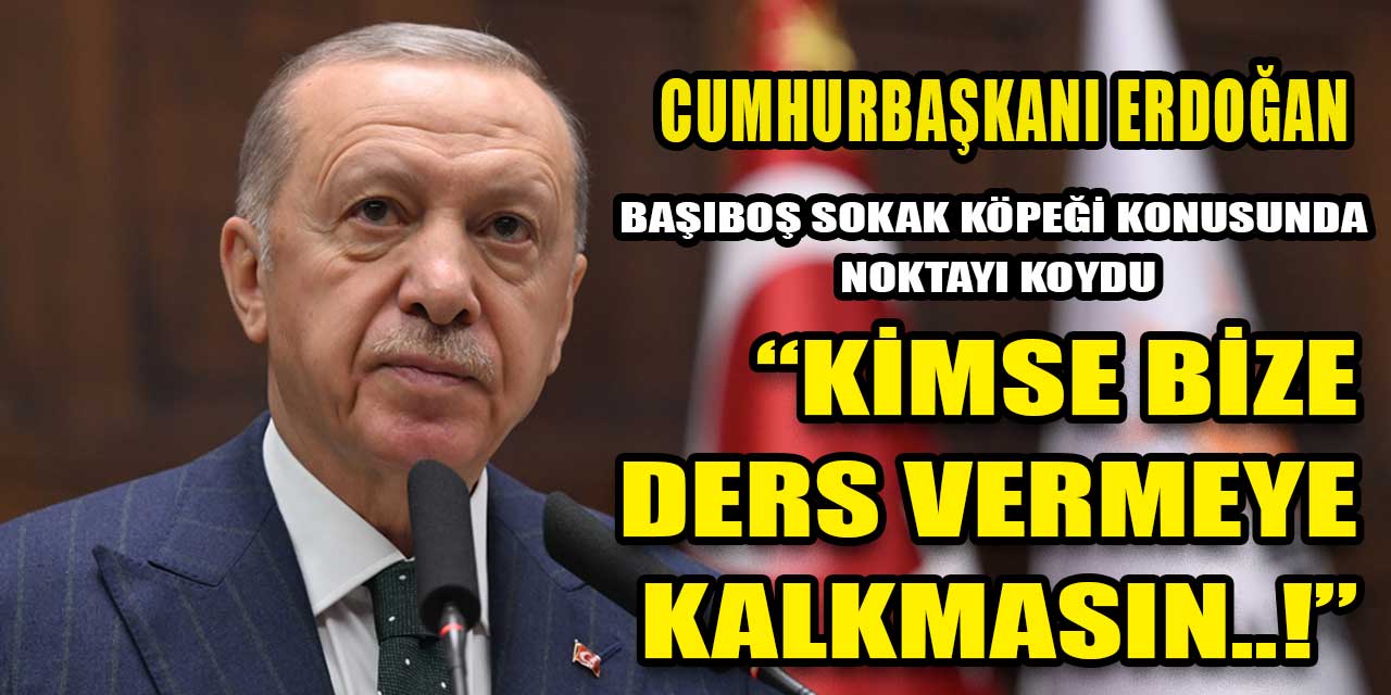 Cumhurbaşkanı Erdoğan, başıboş sokak köpeği meselesine noktayı koydu: "Kimse bize merhamet üzerinden ders vermeye kalkmasın"