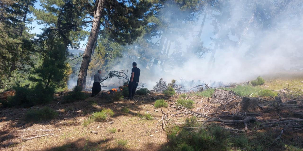 Adana'da orman yangını!