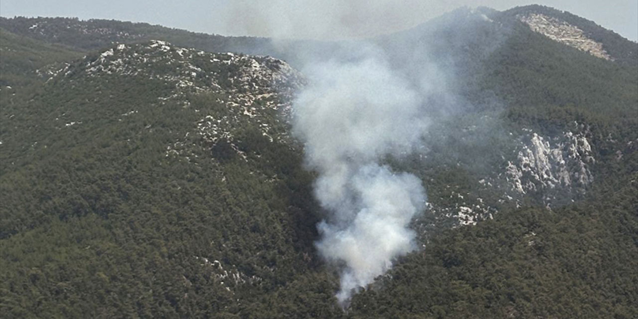 Muğla'da orman yangını