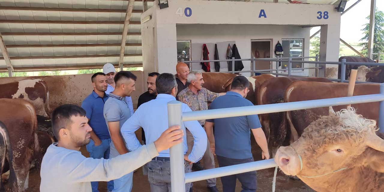 Altındağ'da kurban satış alanı hareketli!