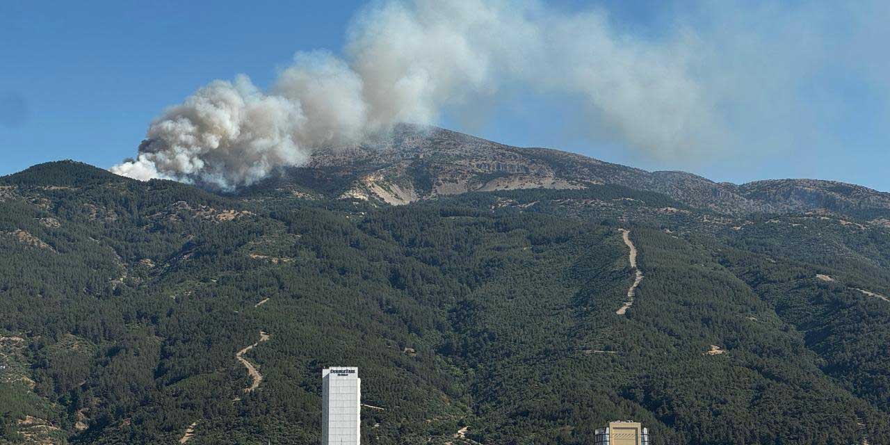 Manisa'daki orman yangını kontrol altına alındı