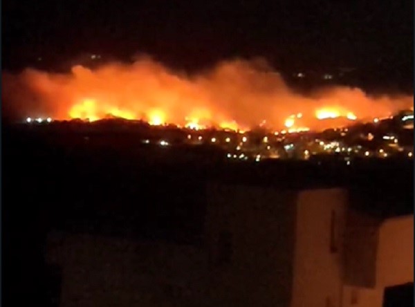 İzmir Dikili'de ormanlık alanda çıkan yangına müdahale ediliyor