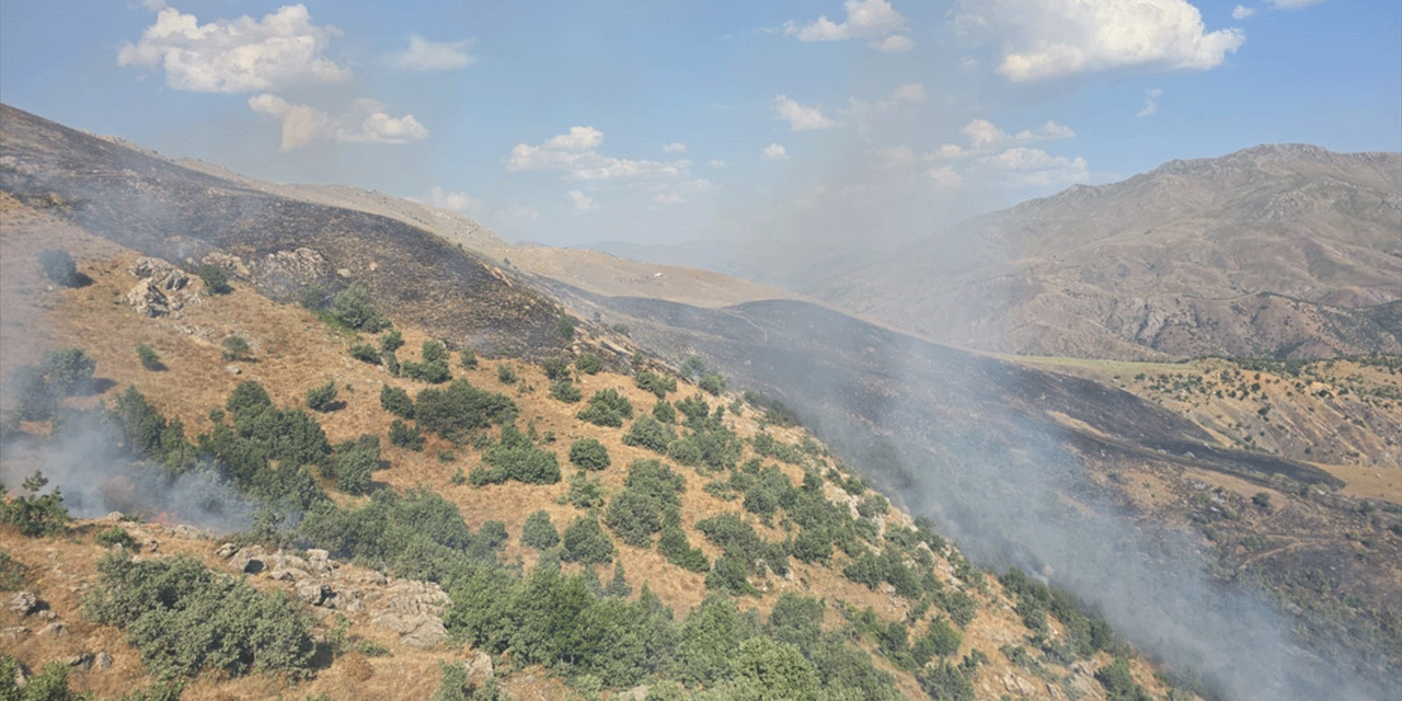 Siirt'te meşelik alanda çıkan yangın kontrol altına alındı!