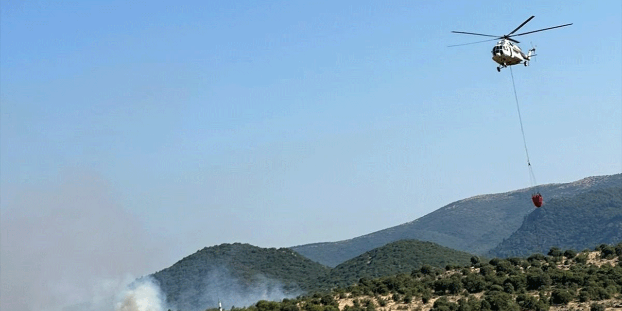 Balıkesir'de orman yangını!