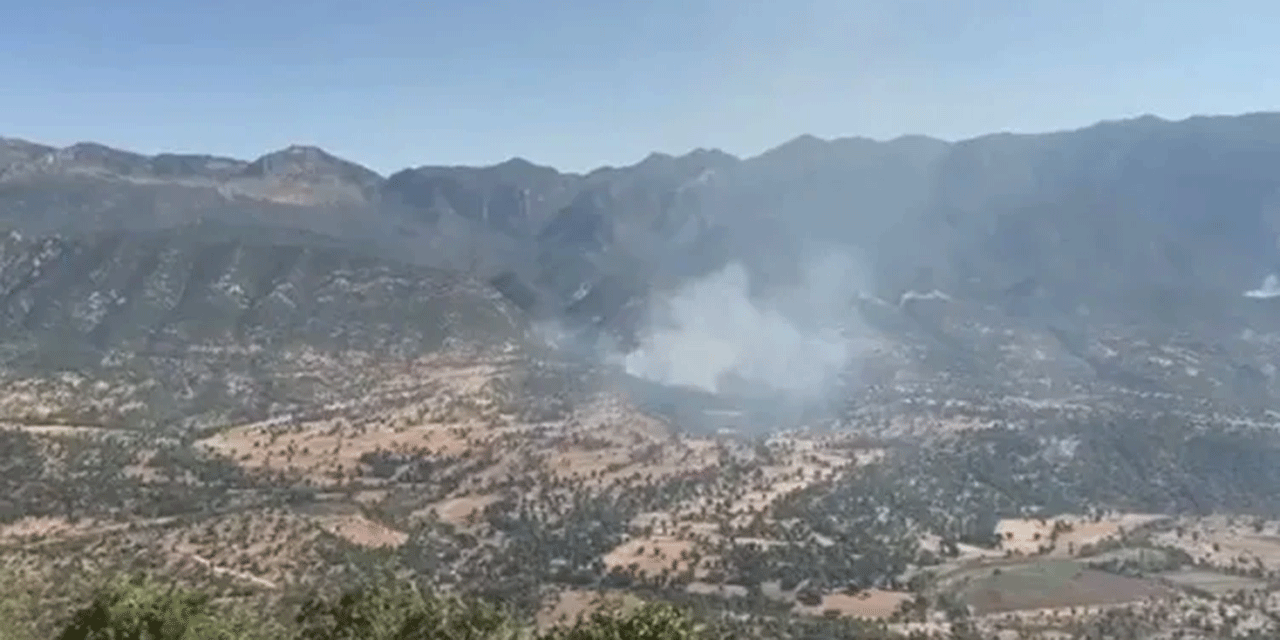 PKK'dan alçak plan! MSB duyurdu: Ormanları yakarak gizlenmeye çalışıyorlar