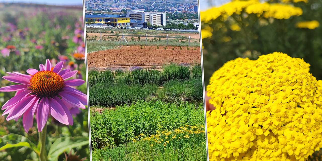 Kırşehir Ahi Evran Üniversitesi bir ilke daha imza attı