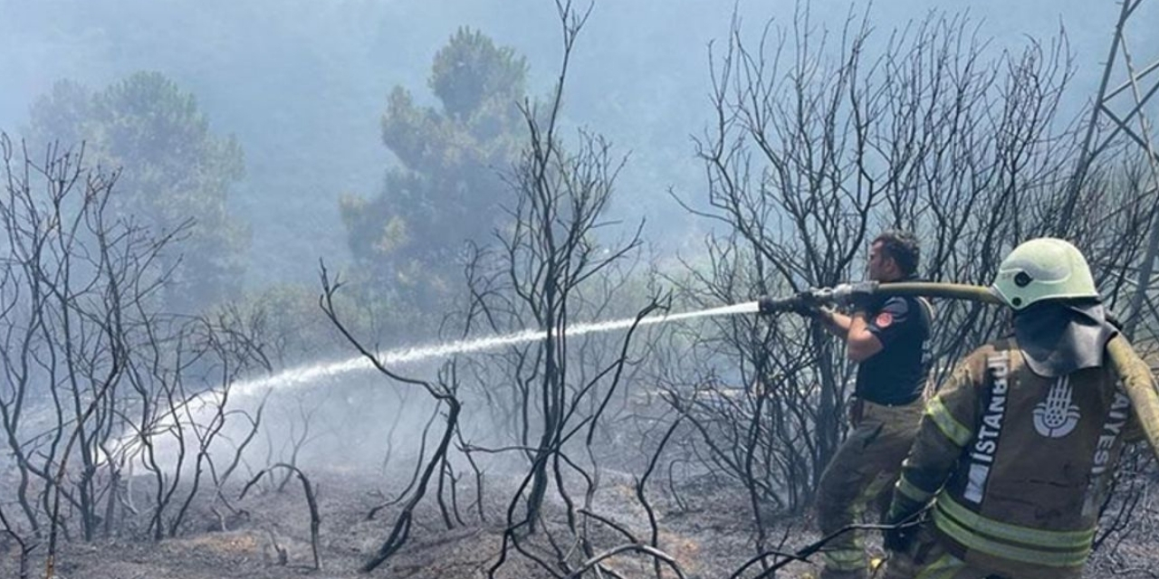 İzmir'deki orman yangınları devam ediyor