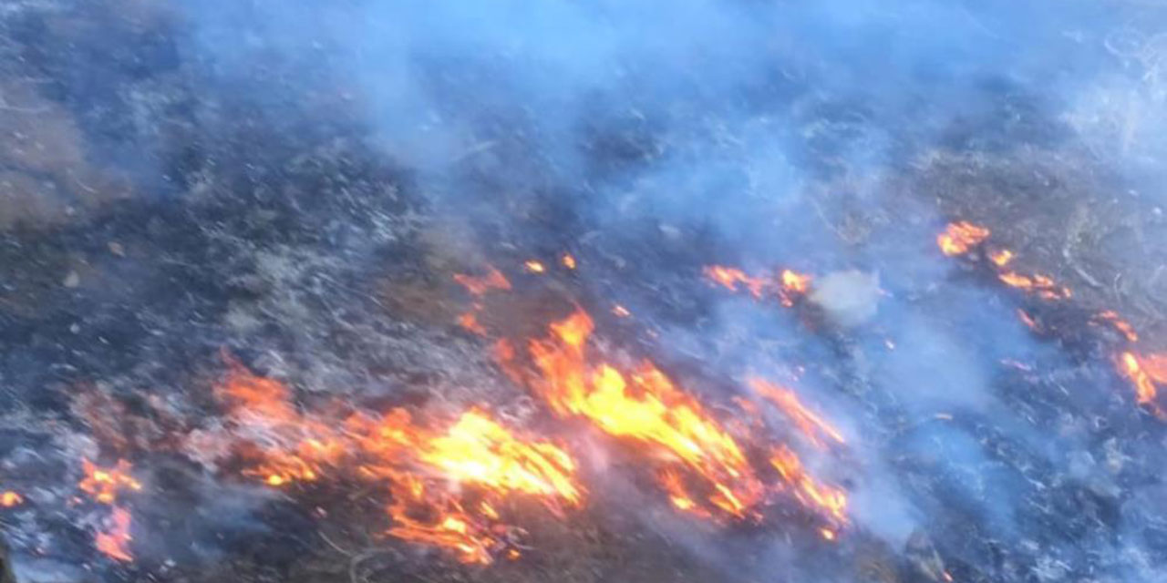 Gaziantep'te orman yangını korkuttu!