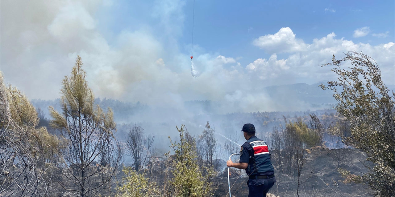 Antalya'da ormanlık alanda yangın!