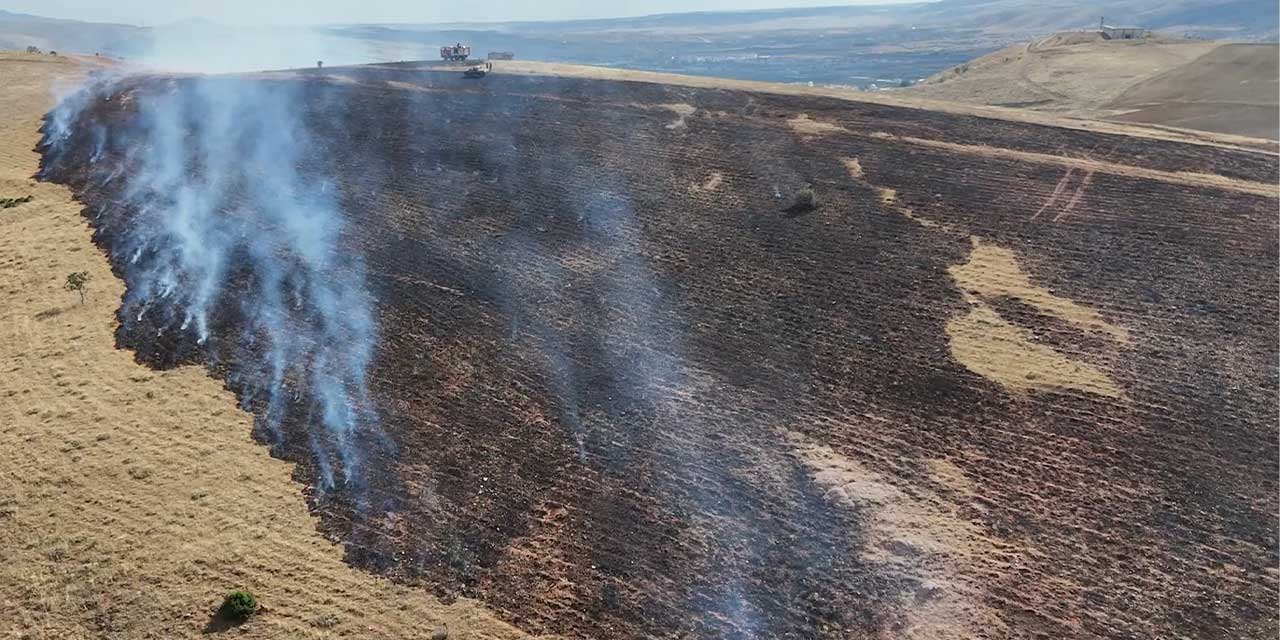 Kırıkkale'de mangal ateşi yangına sebep oldu: 3 bin dönümlük alan yandı
