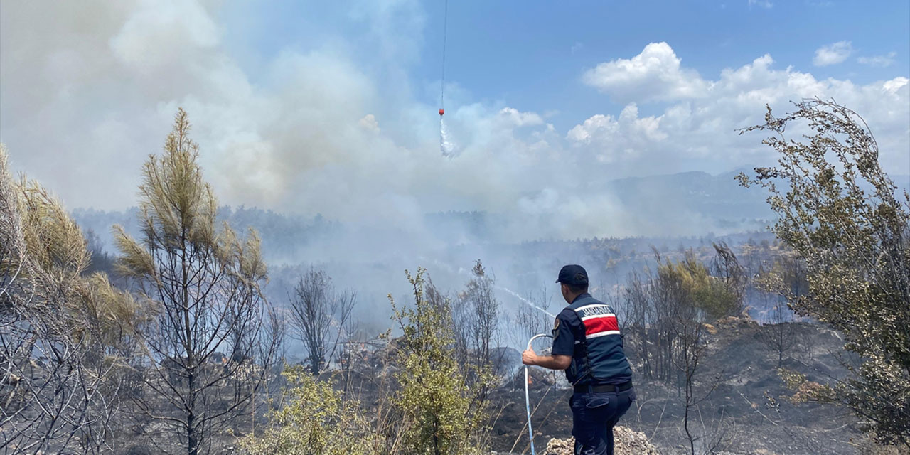 Bolu'da otluk alanda yangın!