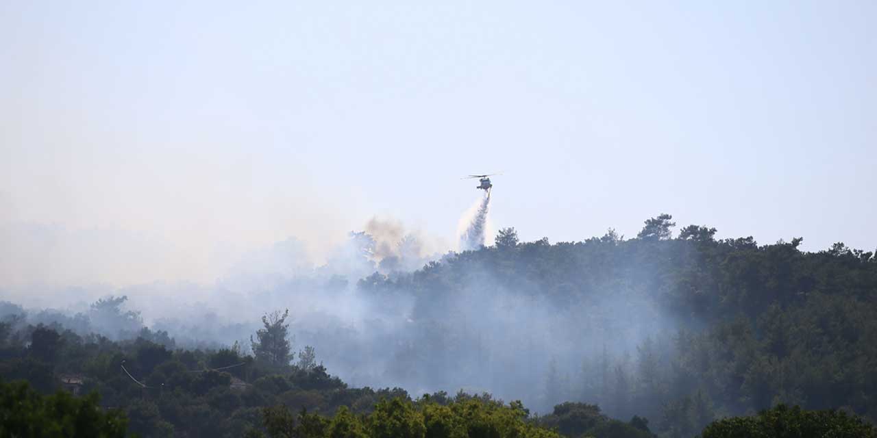 Bodrum'da orman yangınına müdahale ediliyor