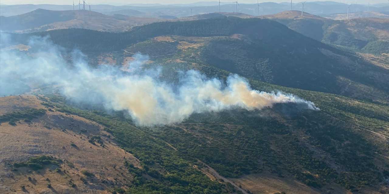 Balıkesir'de korkutan yangın