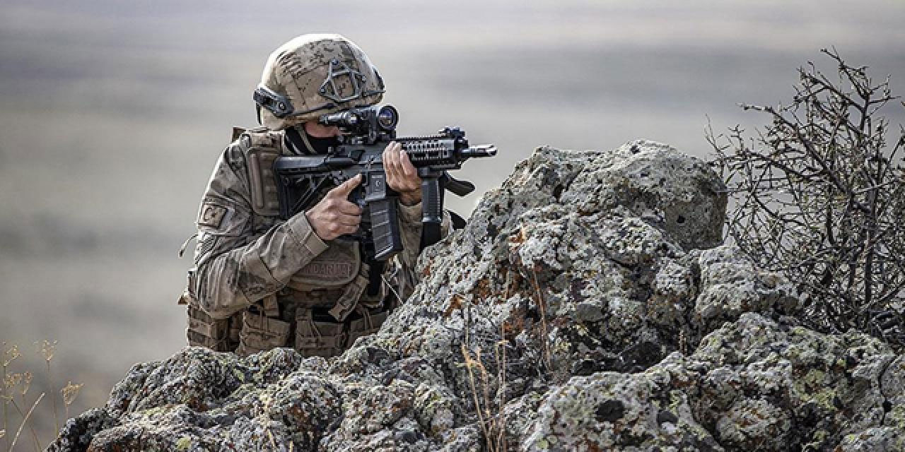 Mardin'de "Bozdoğan-50" operasyonu!