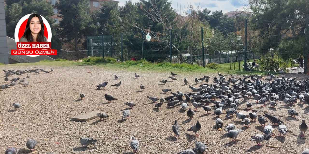 Dikimevi metro çıkışındaki koku esnafı da vatandaşı da bıktırdı