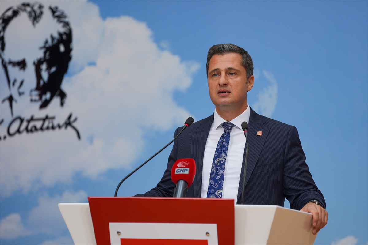 CHP Sözcüsü Yücel: Sokak hayvanlarına "ötenazi" uygulamasını hiçbir CHP belediyesi kabul etmeyecek