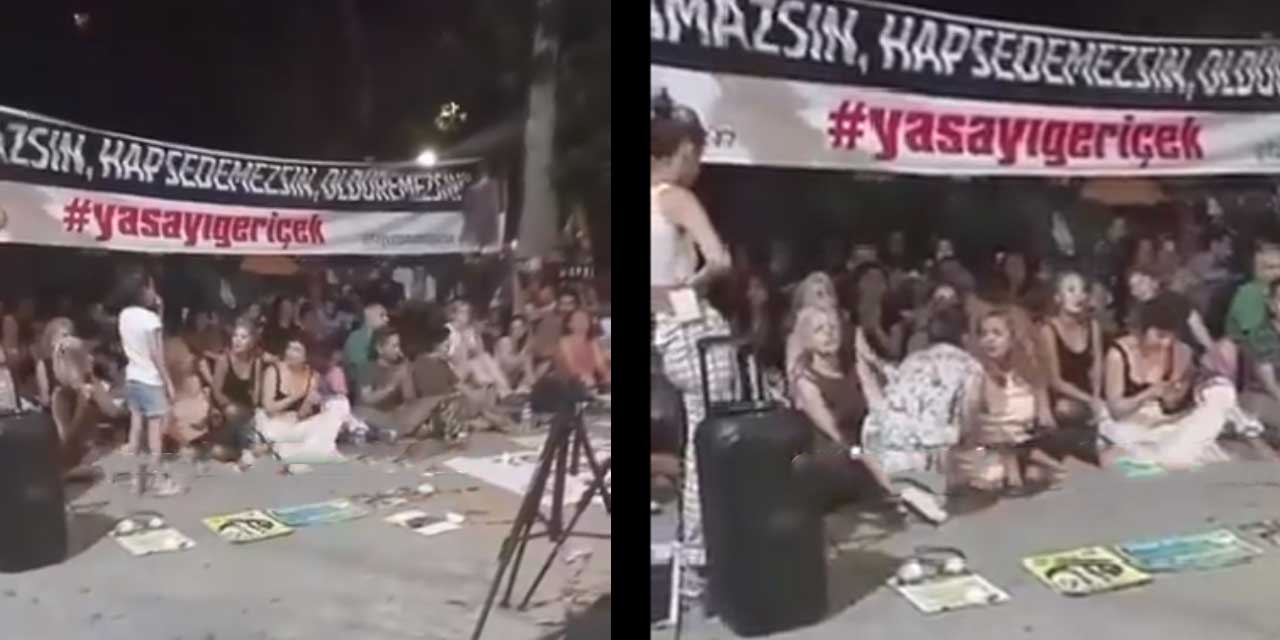 Ankara'da sokak hayvanları yasa teklifine karşı protesto: "Devlet öldürmez, yaşatır"