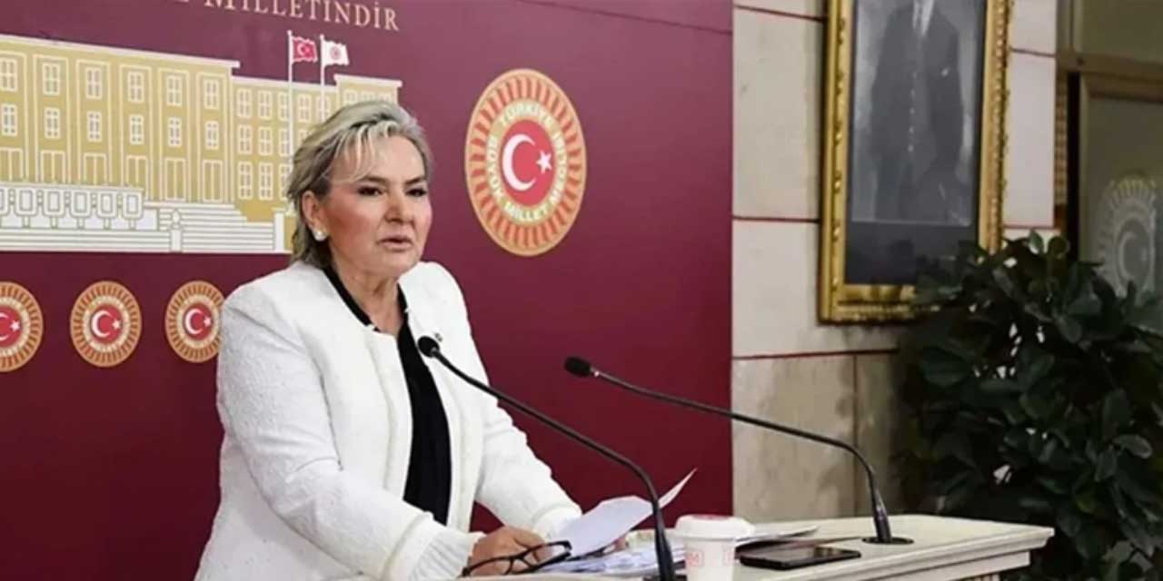 İYİ Parti'de Nimet Özdemir istifa etti: Vekil sayısı düşüyor!