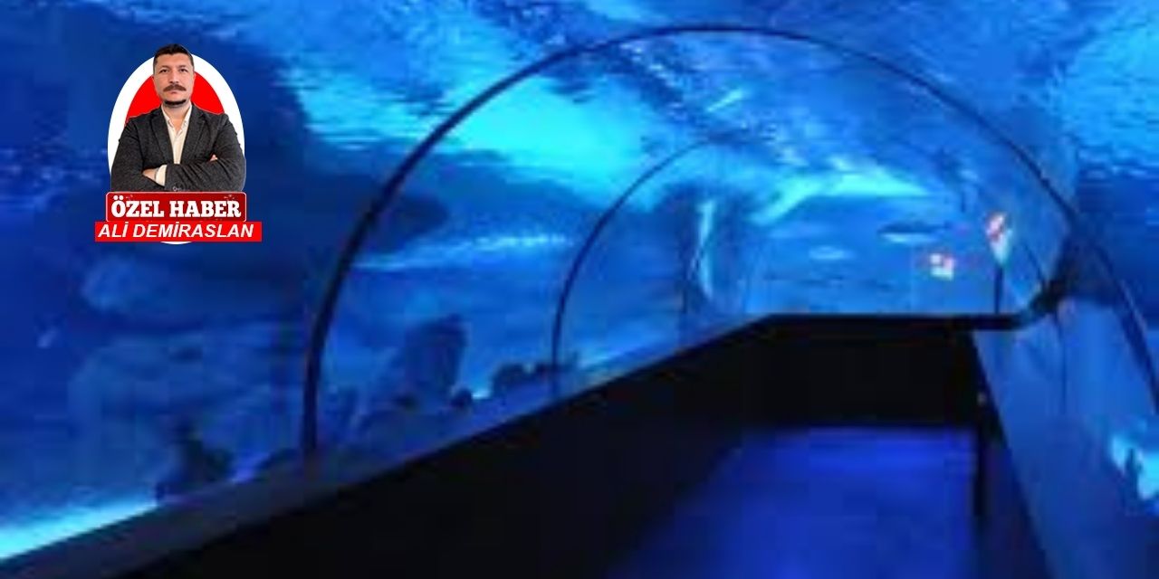 Türkiye'nin en büyük akvaryumu Aquavega ziyaretçilerini bekliyor