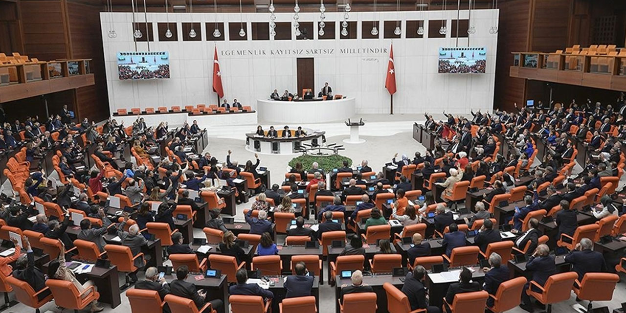 TBMM'nin bu haftaki gündemi sokak hayvanlarına yönelik düzenleme