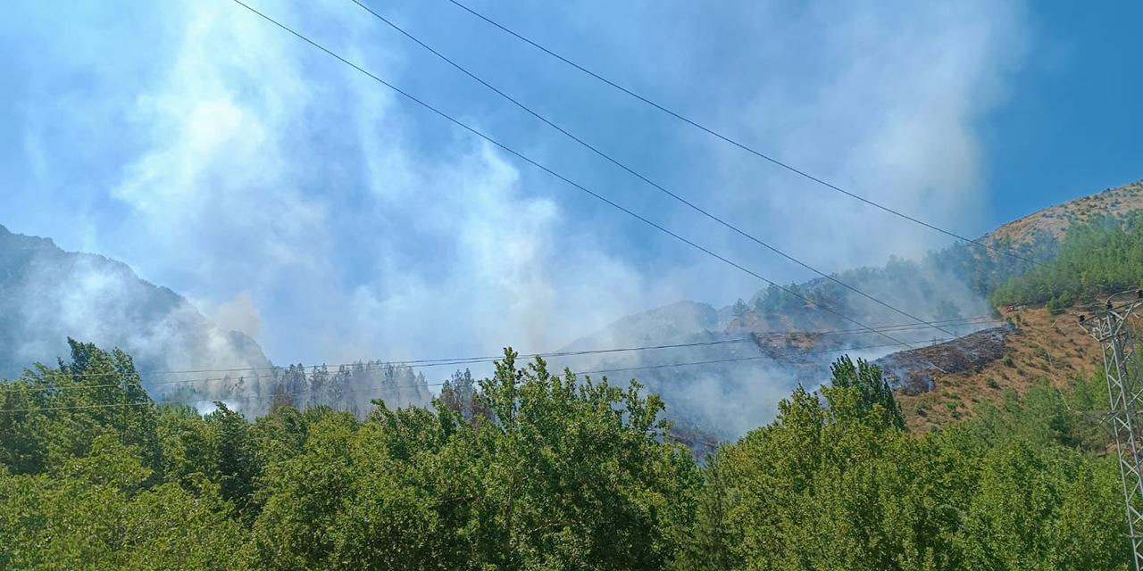 Kahramanmaraş'ta orman yangını!