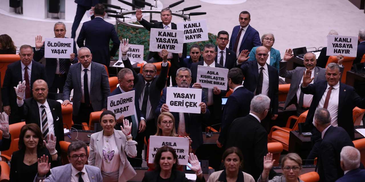 TBMM’de sokak hayvanları sorunu için kanun teklifi görüşmeleri tartışmalı geçti: "Bu teklif Anayasa’ya aykırıdır"