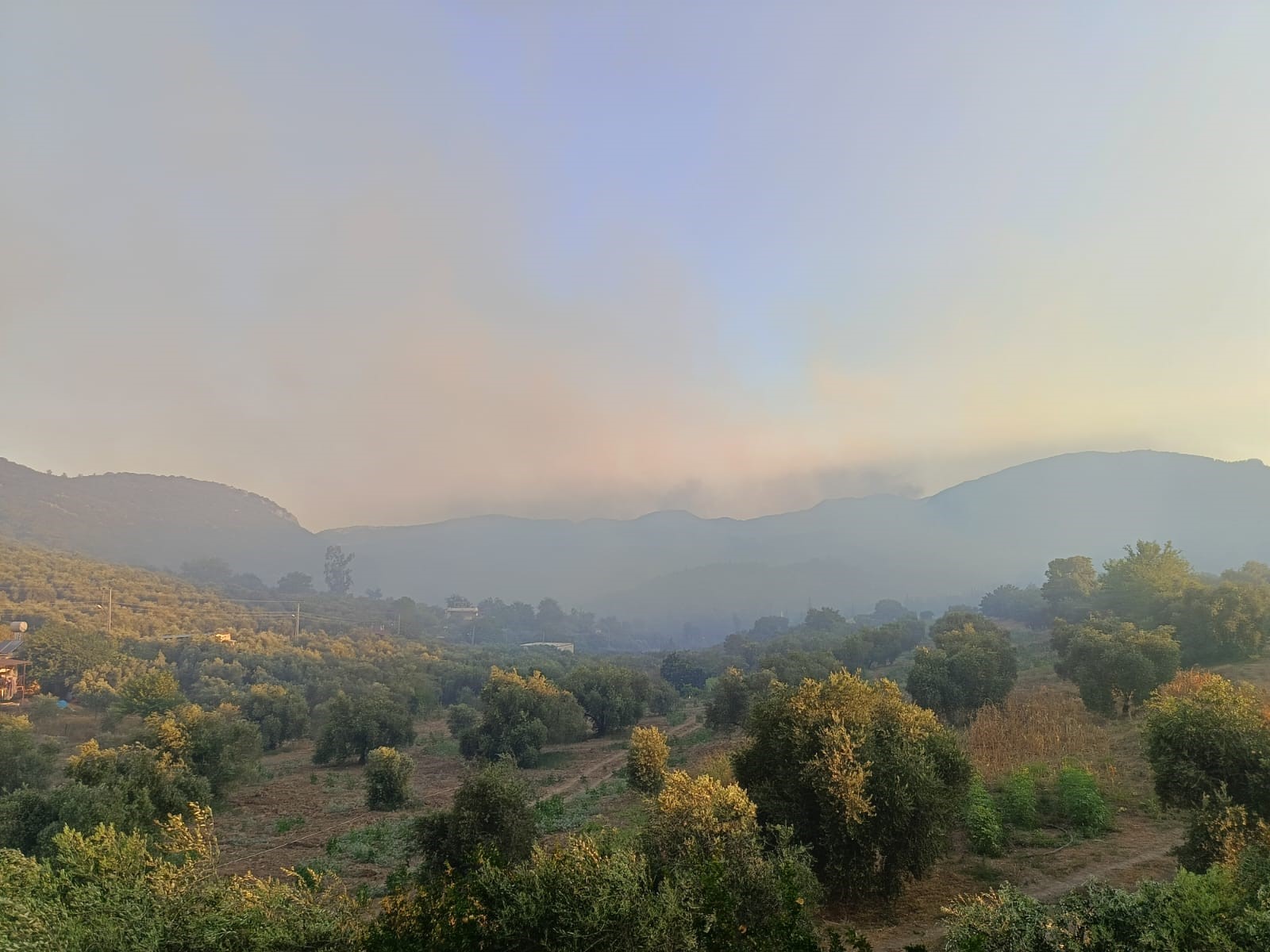 Adana Kozan'da çıkan yangına müdahale çalışmaları  sürüyor