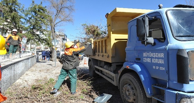 Büyükşehirden, ağaçlara bakım