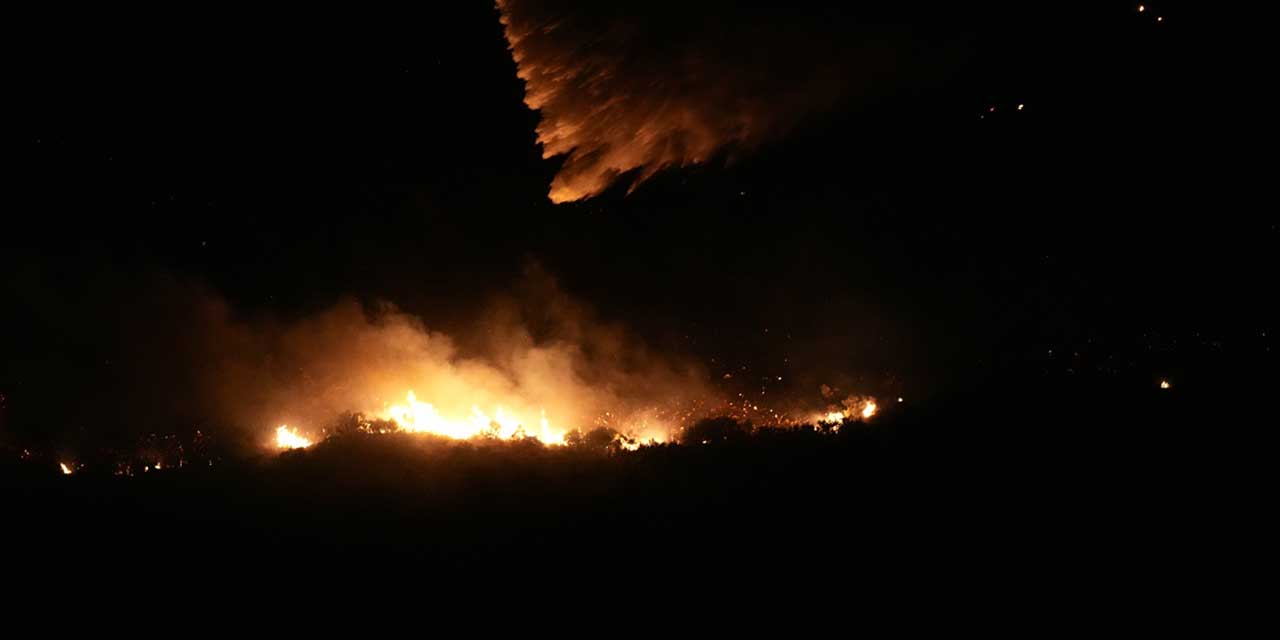 İzmir Urla'da orman yangını: Hava ve kara müdahalesi sürüyor