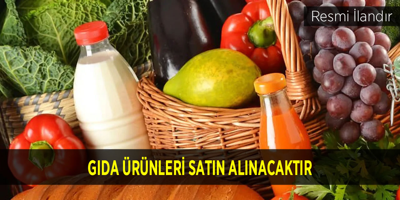 GIDA ÜRÜNLERİ SATIN ALINACAKTIR