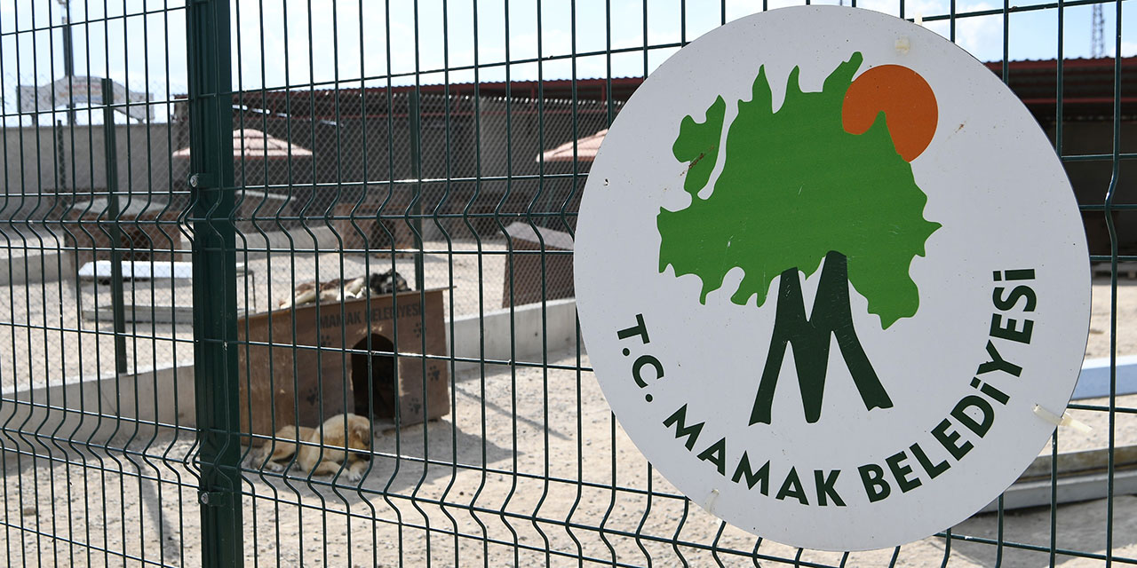 Mamak'ta 'köpekler toplatılıyor' iddialarına yanıt gecikmedi