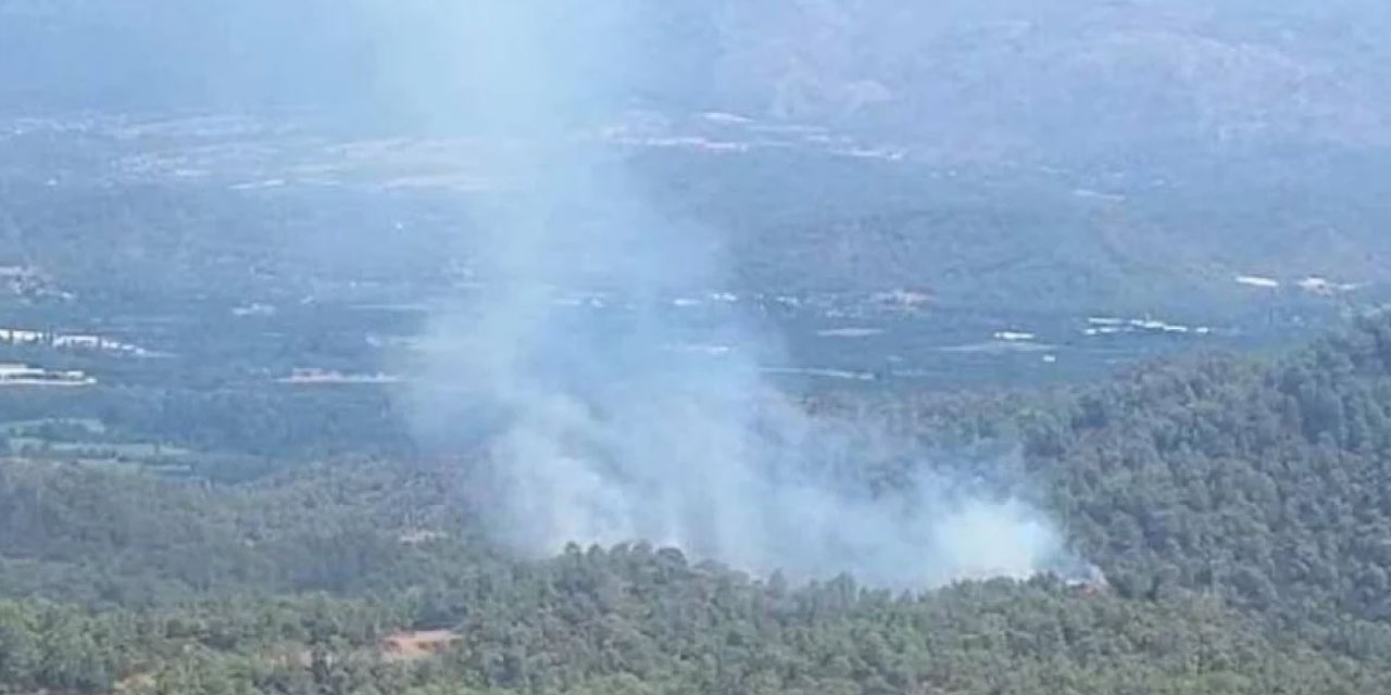 Muğla'da orman yangını!