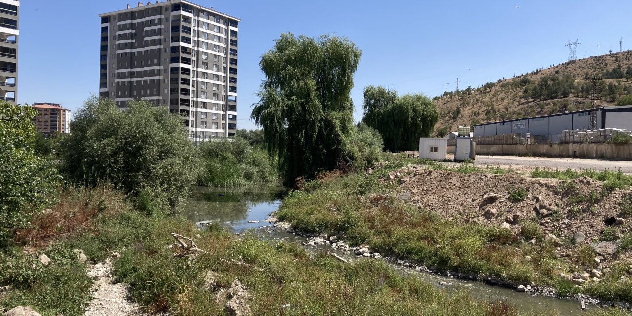 Ova Çayı kötü koku ve sivrisinekten geçilmiyor