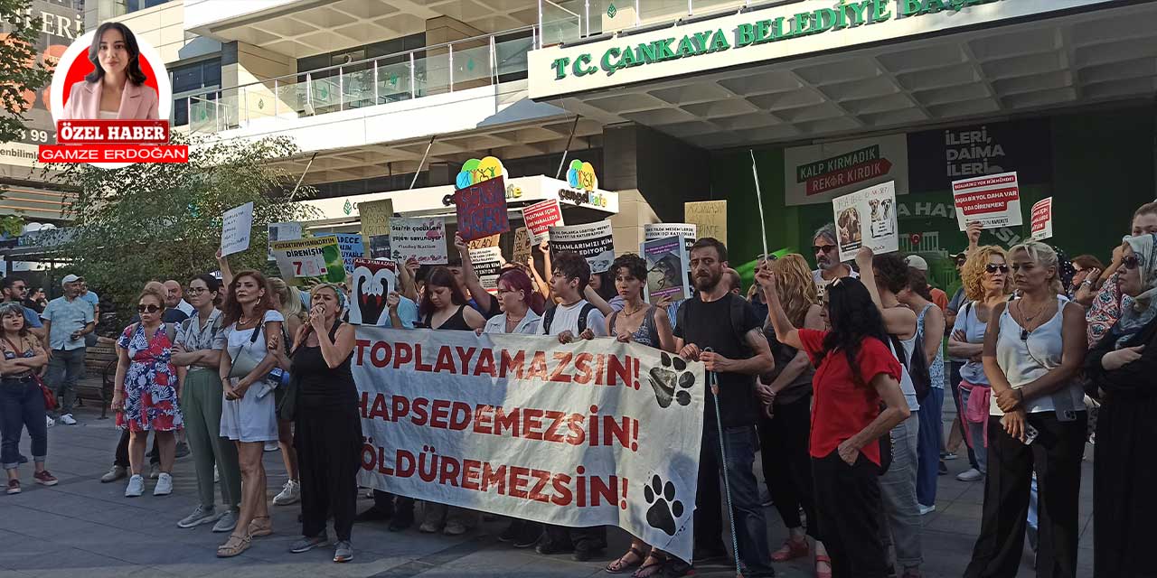 Çankaya Belediyesi önünde hayvanseverlerden ortak çağrı: Mahallenizde örgütlenin