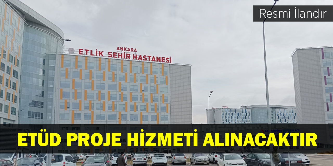 Etüd proje hizmeti alınacaktır