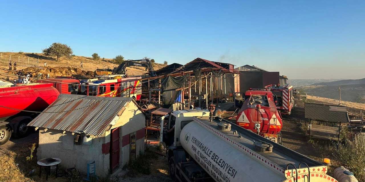 Yenimahalle'de çıkan yangında bilanço büyük: 26 büyükbaş hayvan telef oldu