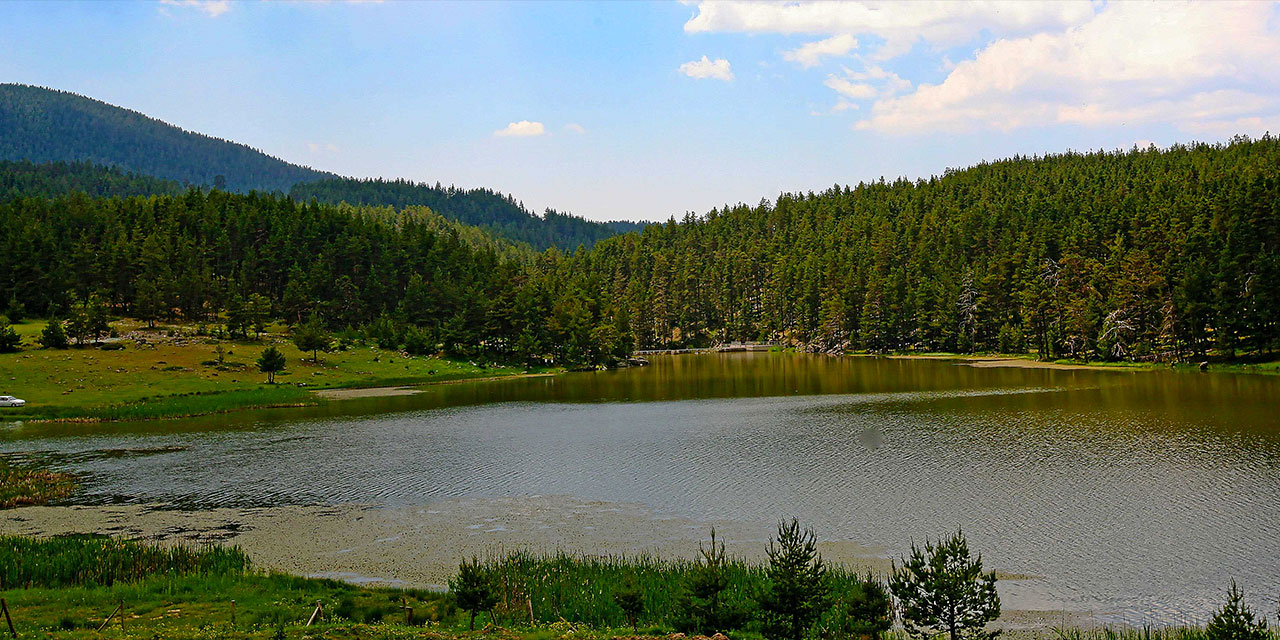 Bu yayla yemyeşil doğasıyla görenleri kendisine çekiyor!