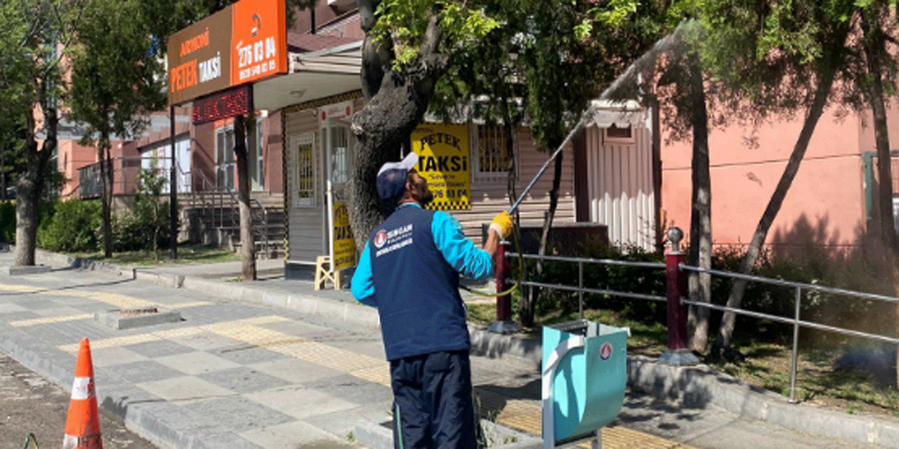 Sincan'da böcek ve haşerelere karşı ilaçlama çalışmaları devam ediyor