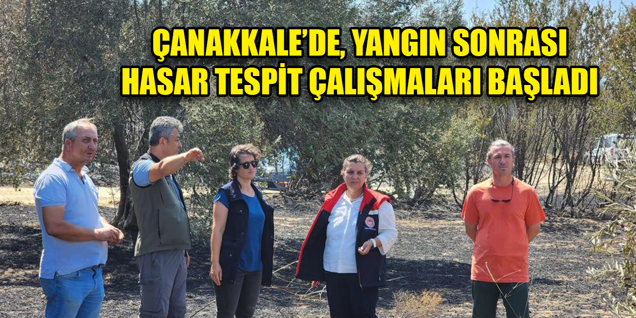 Çanakkale'deki orman yangınında hasar tespit çalışmaları başladı