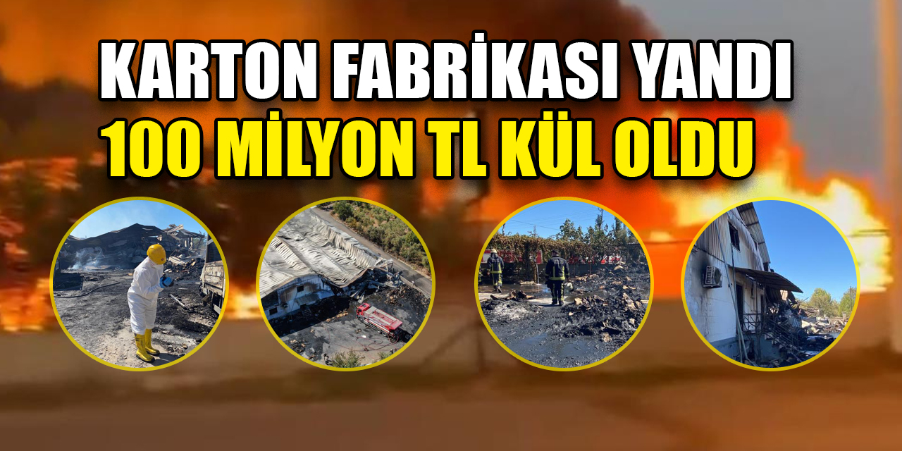 Antalya'da karton fabrikası yandı: 100 milyon TL kül oldu