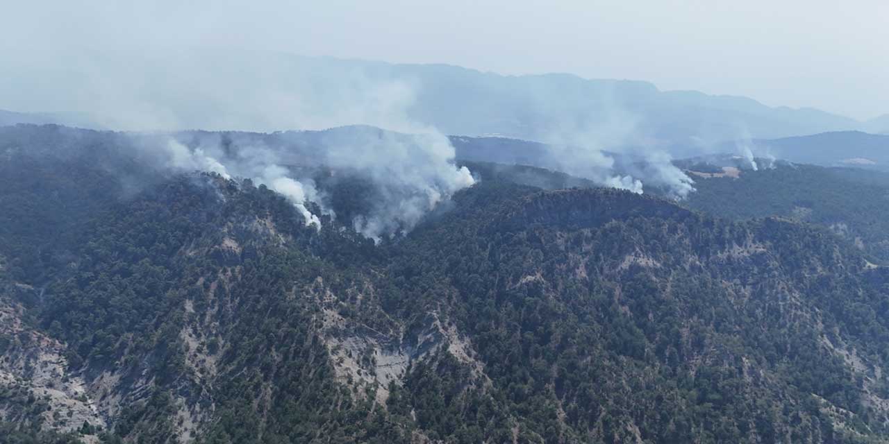 Bolu'daki orman yangınına sebep olan 2 kişi tutuklandı: Anız yakarken yangın çıkarmışlardı