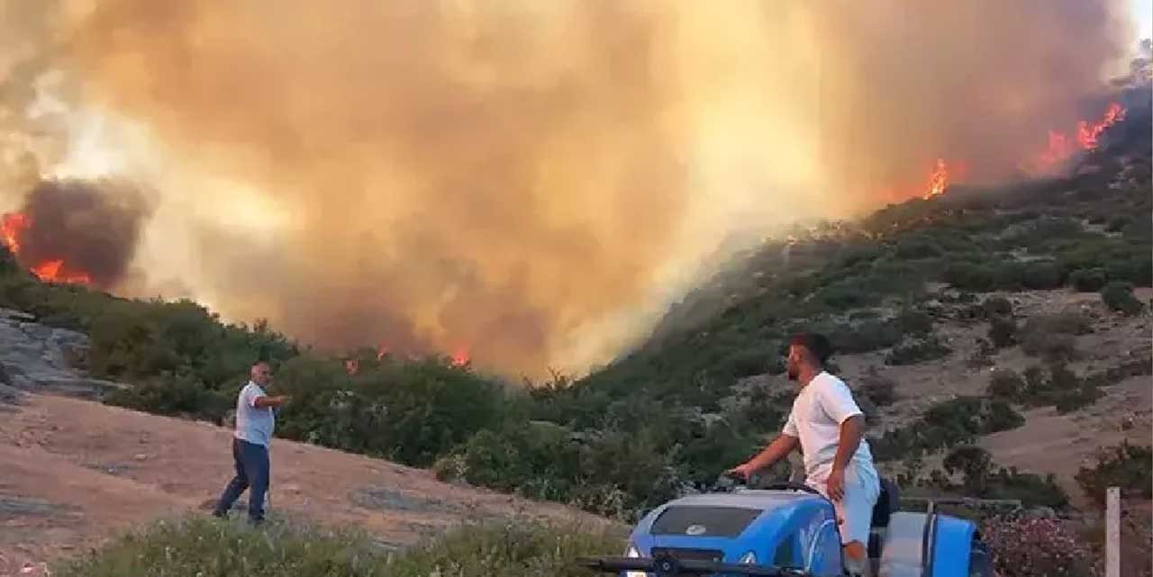 Aydın'daki yangın ile ilgili 3 şahıs tututlandı: Söndürme çalışmaları devam ediyor!