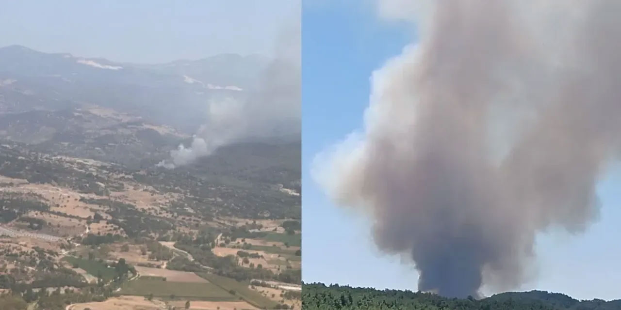 Muğla'da eş zamanlı orman yangınlarına müdahale sürüyor