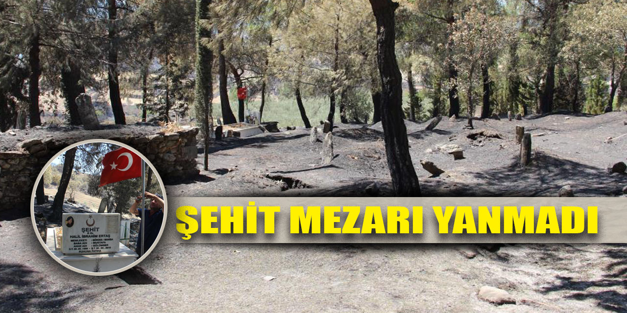 Yangının ortasında kalan şehit mezarı: Yanmadı