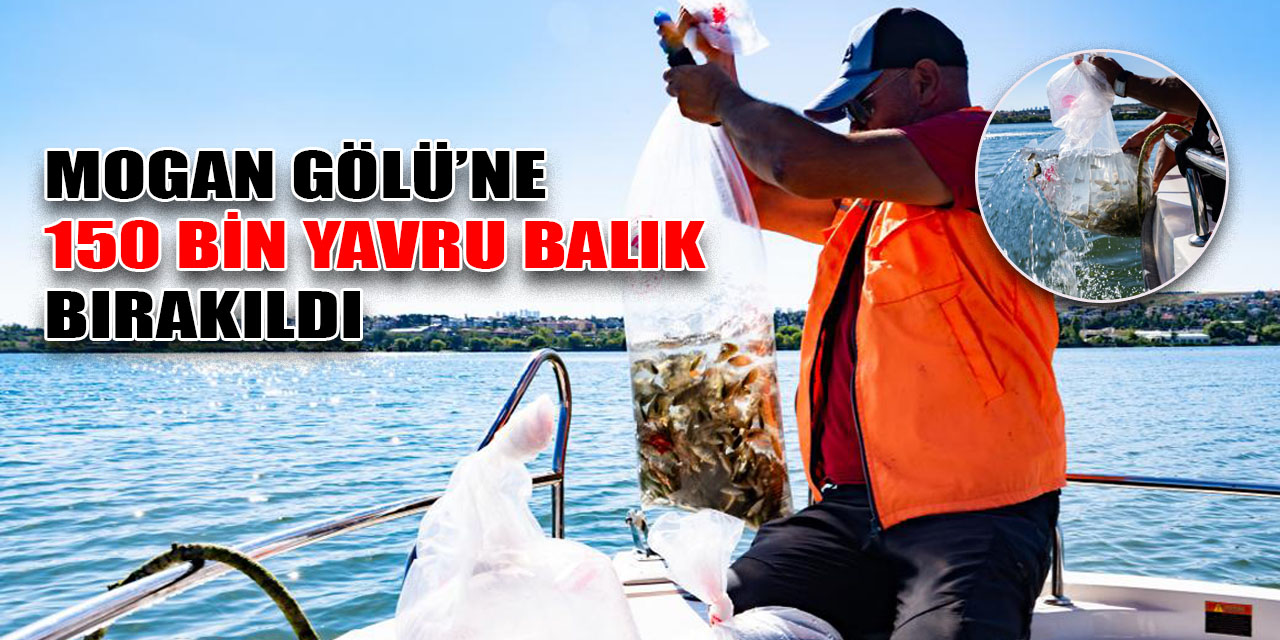 Mogan Gölü’ne 150 bin yavru balık bırakıldı