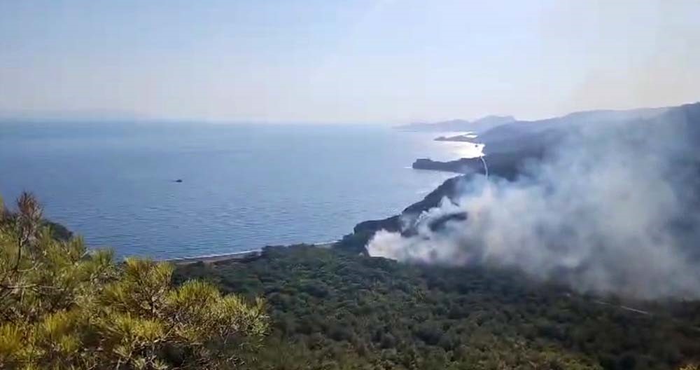 Datça'daki orman yangınıyla ilgili tutuklu sayısı 2'ye yükseldi