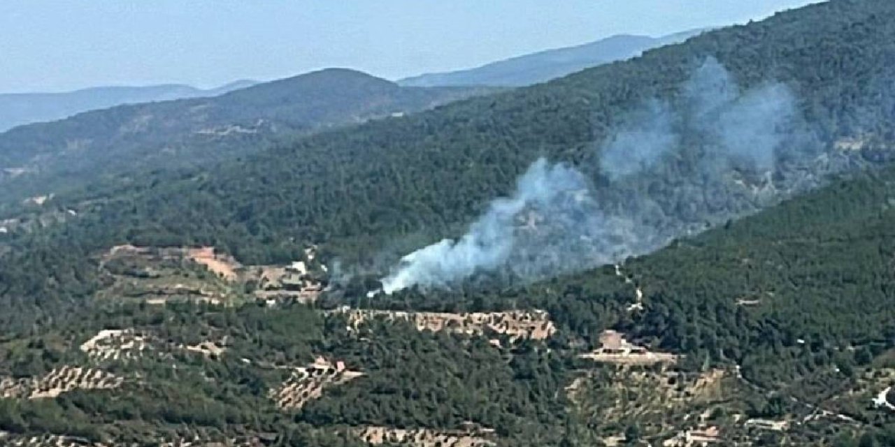 İzmir’de bir orman yangını daha